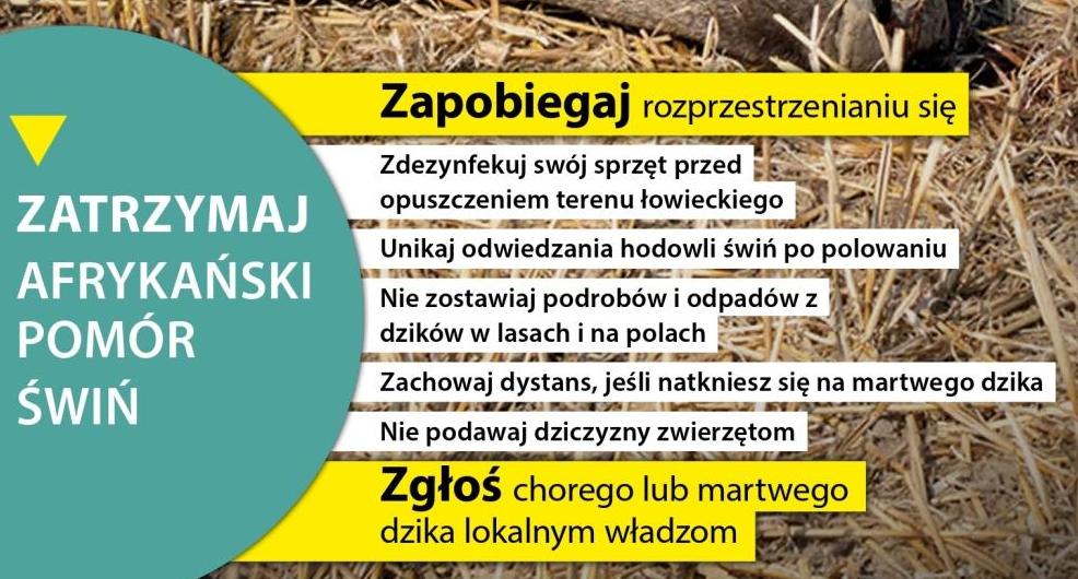 Informacja - zapobieganie pojawienia się ognisk afrykańskiego pomoru świń (ASF) w gospodarstwach utrzymujących świnie 